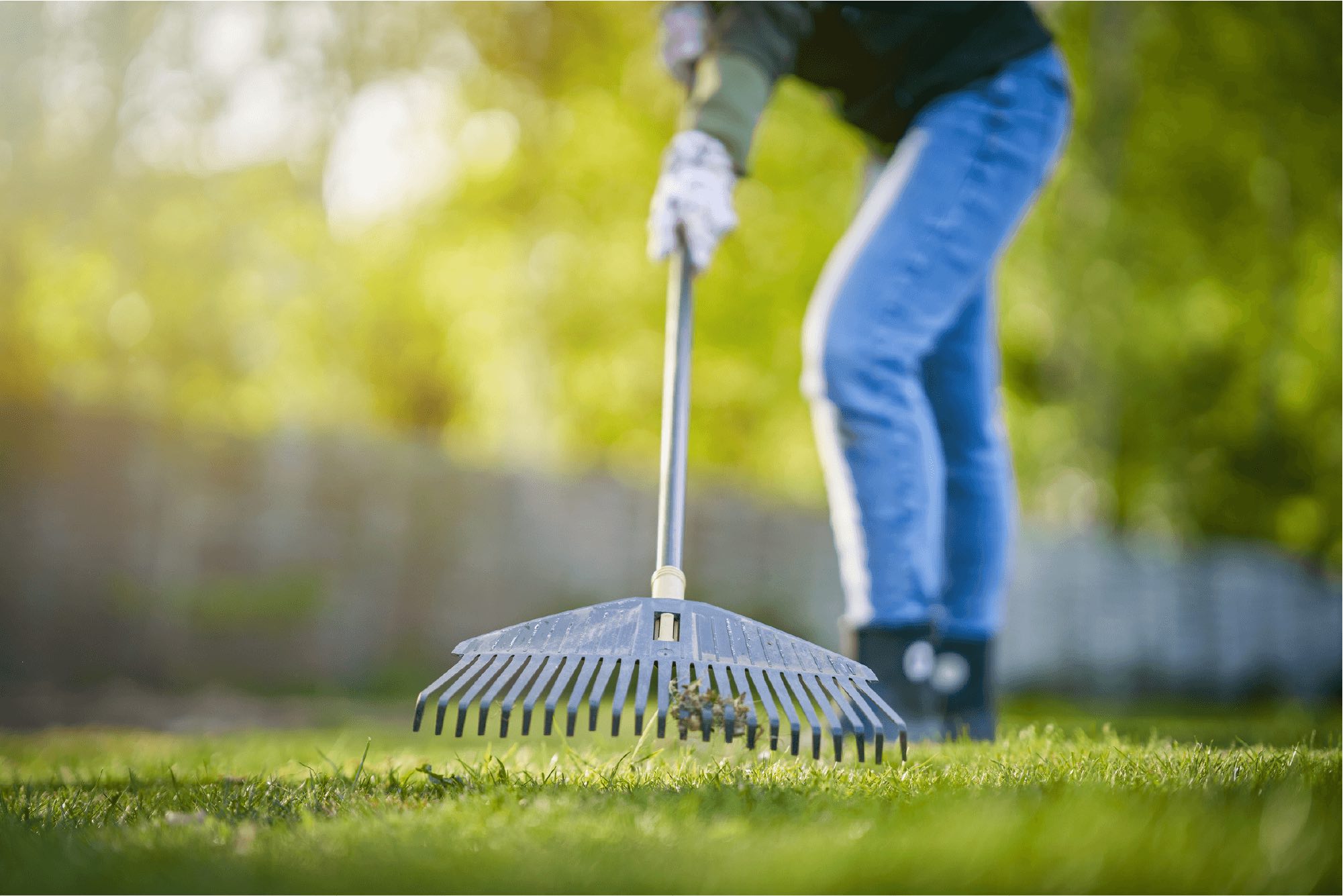 Den Rasen im Sommer düngen für eine bessere Widerstandsfähigkeit gegen Hitze, Trockenheit und intensive Nutzung. Den Rasen im Sommer düngen für eine bessere Widerstandsfähigkeit gegen Hitze, Trockenheit und intensive Nutzung