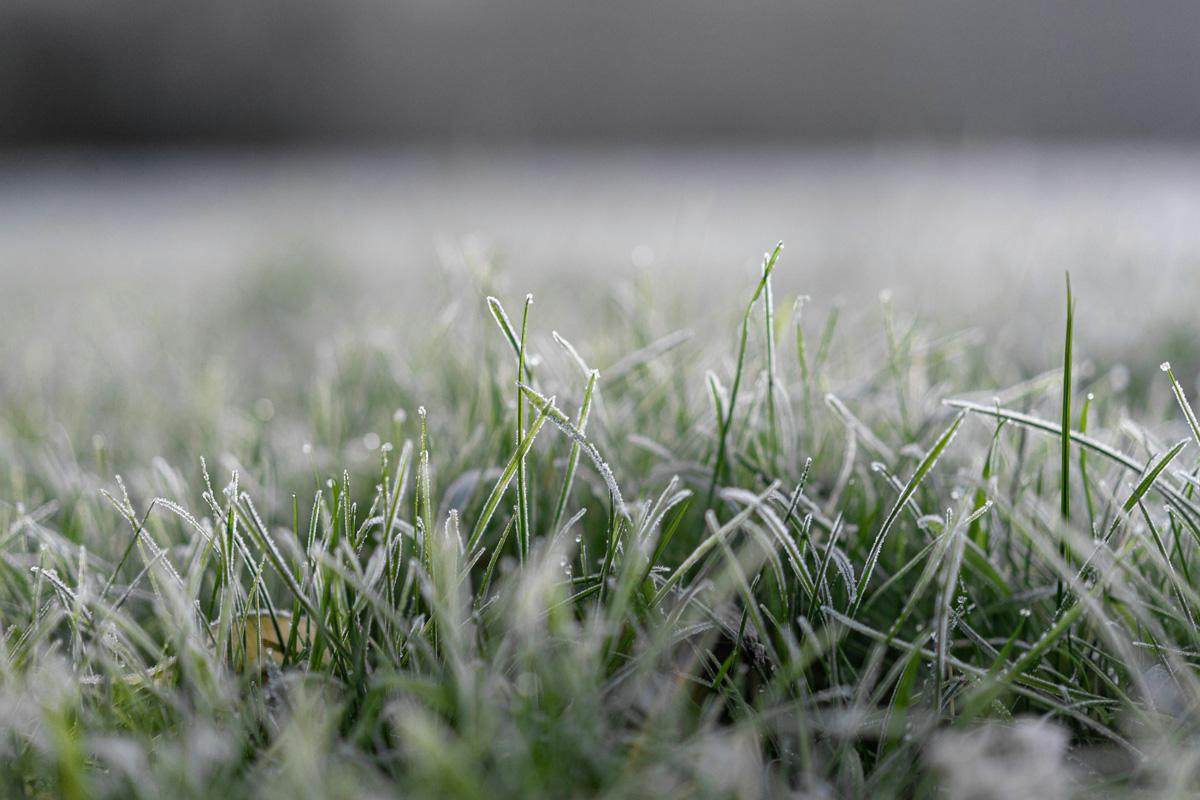 Tipps zum Anlegen eines Rasens Wintertipps für einen neuen Rasen