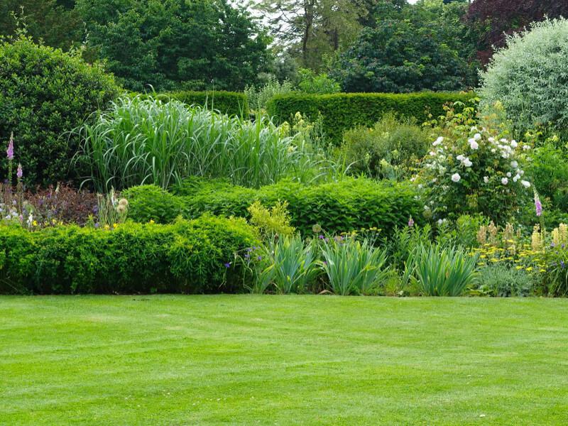 Gartentrends 2024 Gartentrends 2024