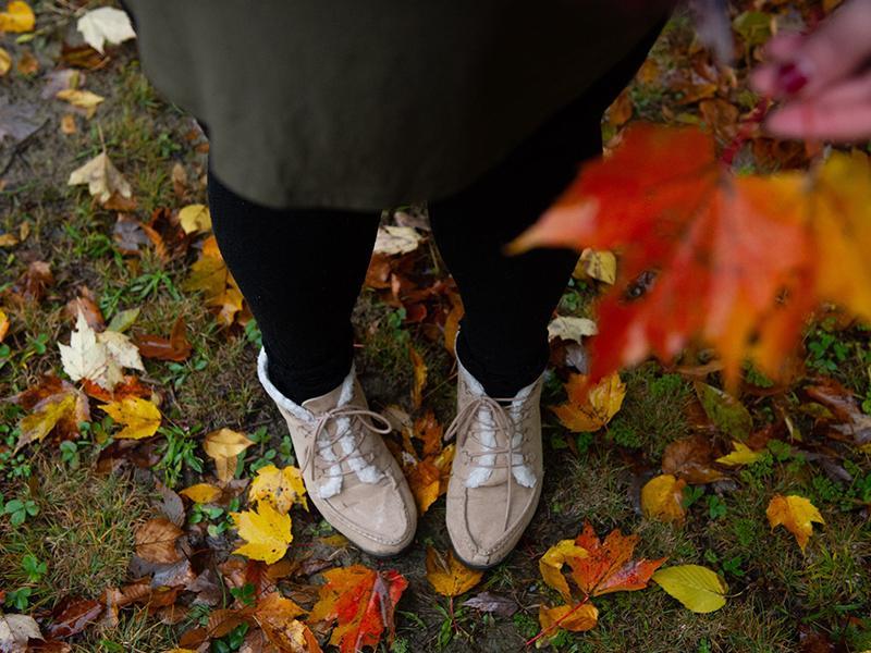 Ihren Rasen im Herbst pflegen Ihren Rasen im Herbst pflegen