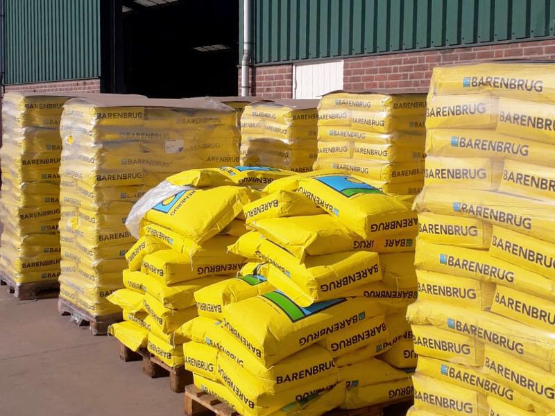 Handstreuer welche-rasensamen-soll-ich-kaufen