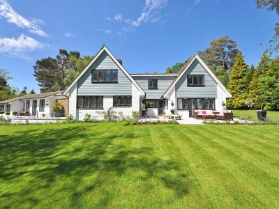 Rollrasen Sorten im Vergleich