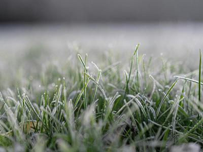 Spezielle Winterbehandlung für Rasenflächen