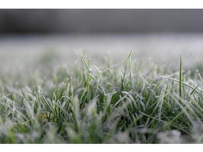 Spezielle Winterbehandlung für Rasenflächen