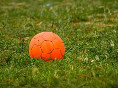 Bodentest für Rasen