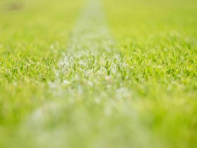 4 Tipps zum Kalken des Rasens