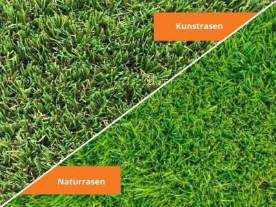 Naturrasen oder Kunstrasen