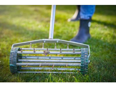Rasen aerifizieren und lüften