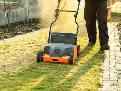 Pflegen Sie Ihren Rasen durch Lüften oder Vertikutieren