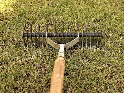 Rasen winterfest machen