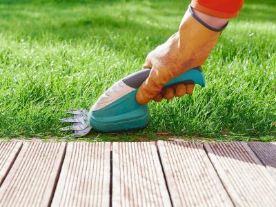 Rasenkanten richtig schneiden: Tipps vom Experten