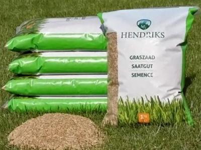 Was ist der beste Rasensamen für Ihren Rasen?