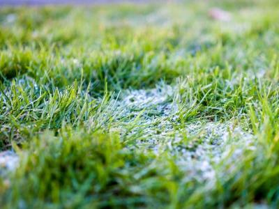 Schnee Schimmel und Eis auf dem Rasen