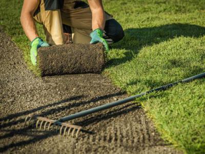 Wie viel Rollrasen benötige ich?