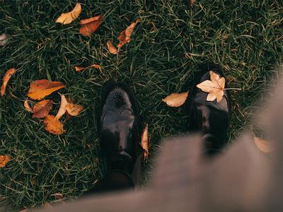Rasenpflege im Herbst