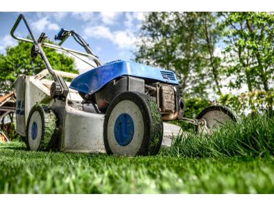 Günstigste Zeit zum Rasenmähen