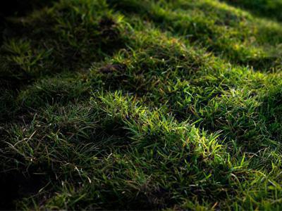 Rasen mit Schatten und wenig Sonnenlicht im Winter