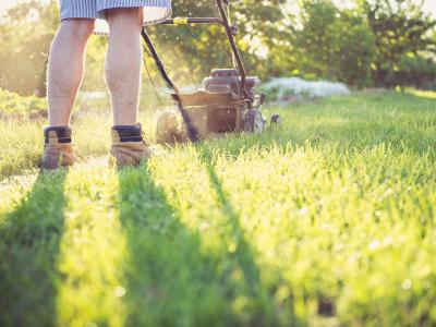 Rasen mähen im Sommer