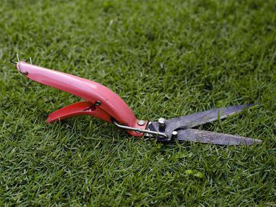 Rasenpflege im März