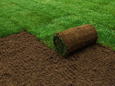 Rollrasen im Herbst verlegen