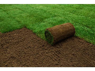 Rollrasen im Herbst verlegen