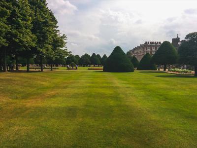 Kahle Stellen im Rasen reparieren