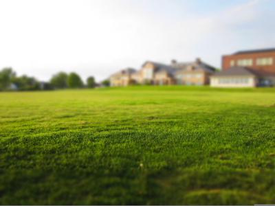 Garten mit Rasen