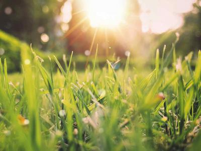 Fünf Tipps, um Ihren Garten auf den Frühling vorzubereiten