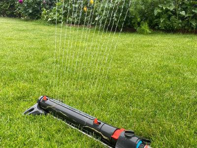 Rasen richtig wässern bei Trockenheit