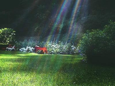 Rasen von der Sonne verbrannt