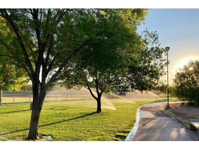 So erholt sich Ihr Rasen nach großer Hitze