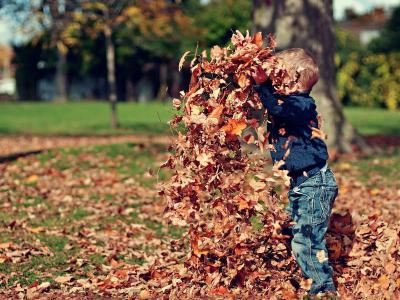 Herbstlaub entfernen