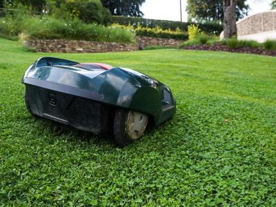 Häufig gestellte Fragen beim Kauf eines Mähroboters | Profi-rasen.de