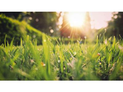 Fünf Tipps, um Ihren Garten auf den Frühling vorzubereiten