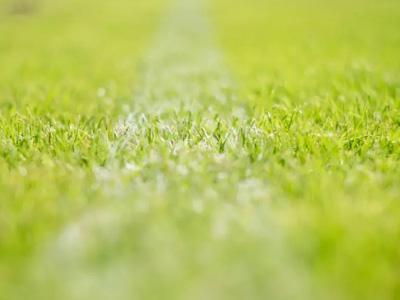 4 Tipps zum Kalken des Rasens