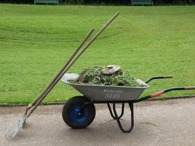 Rasenkanten abstechen