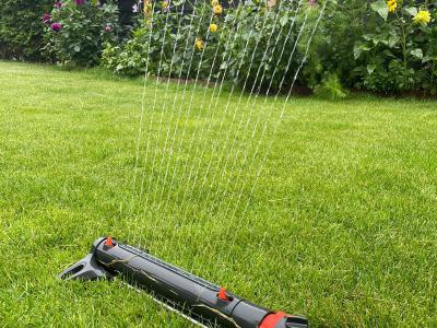 Sommer Tipps für die richtige Rasenpflege