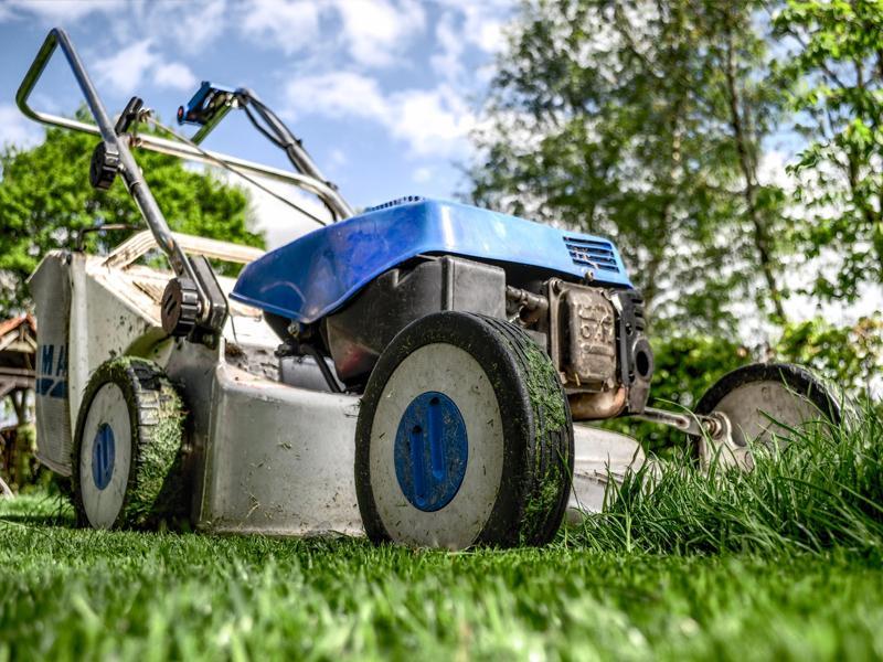 Rasen mähen Rasen mähen