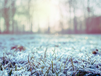 Rasenpflege im Winter Rasenpflege im Winter