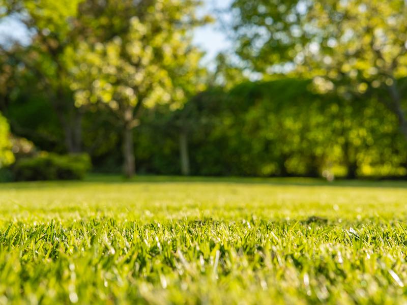 Rasen begradigen Rasen ebnen