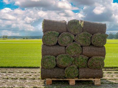 Rollrasen zwischenlagern Rollrasen zwischenlagern