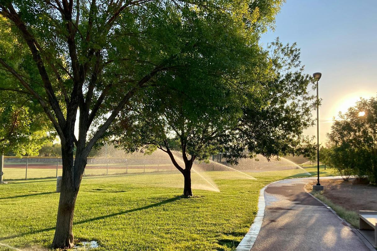 Im Urlaub? So bleibt Ihr Rasen während Ihrer Abwesenheit schön Rasenpflege im Urlaub