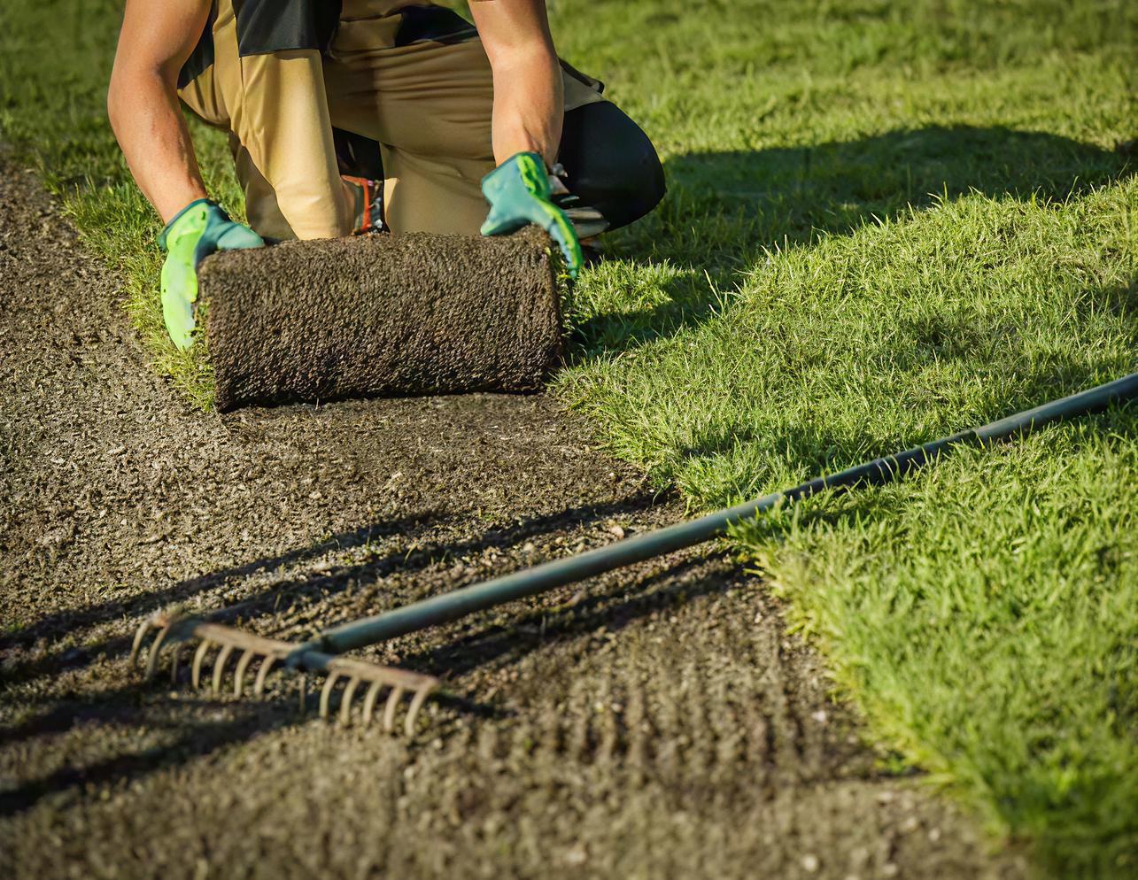 Gras im Winter bei wenig Sonnenlicht und Schatten Frühjahrsplanung für einen neuen Rasen