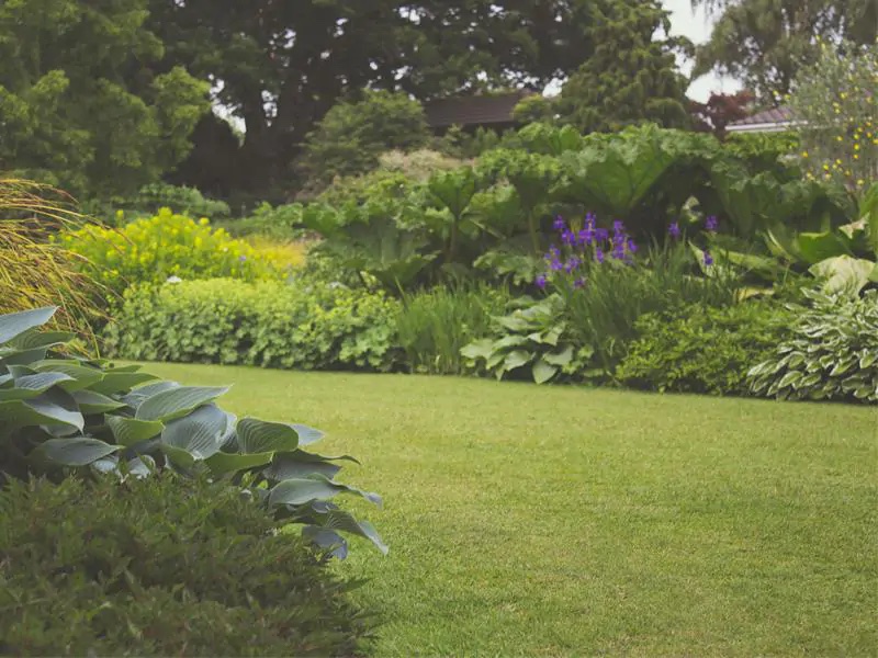 Garten vorbereiten im Februar Garten vorbereiten im Februar