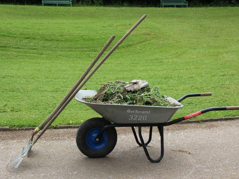 Rasenkanten abstechen Rasenkanten abstechen