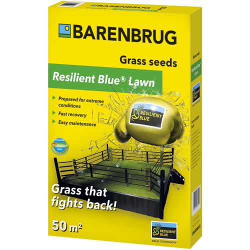 Rasensamen Barenbrug Resilient Blue Lawn Saatgut - 1 kg 1