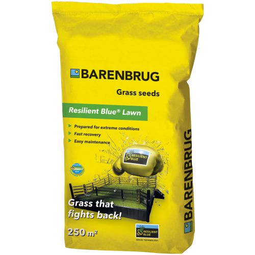 Rasensamen Barenbrug Resilient Blue Lawn Saatgut - 5 kg 1