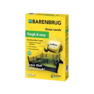 Rasensamen Barenbrug Resilient Blue Lawn Saatgut - 1 kg