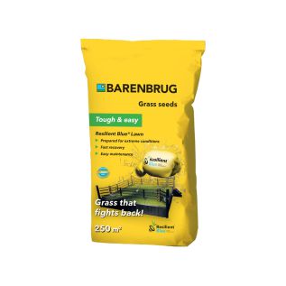 Rasensamen Barenbrug Resilient Blue Lawn Saatgut - 5 kg