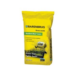 Rasensamen Barenbrug Resilient Blue Lawn Saatgut - 15 kg